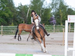 IMG_0694_web